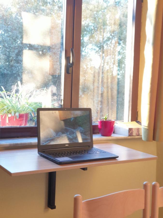 Ex-Block District Charming Studio Apartment With Treeish Sorrounding View! ティラナ エクステリア 写真