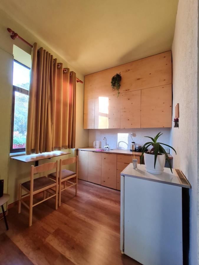 Ex-Block District Charming Studio Apartment With Treeish Sorrounding View! ティラナ エクステリア 写真