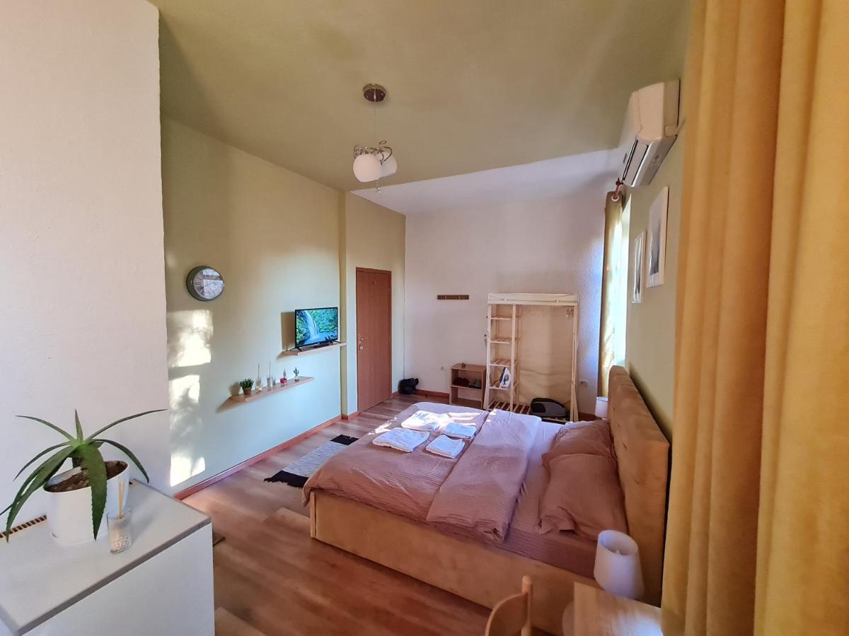Ex-Block District Charming Studio Apartment With Treeish Sorrounding View! ティラナ エクステリア 写真